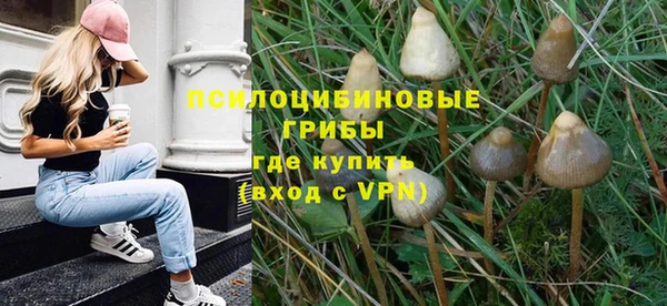 не бодяженный Богородицк