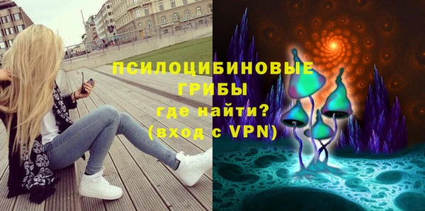 не бодяженный Богородицк
