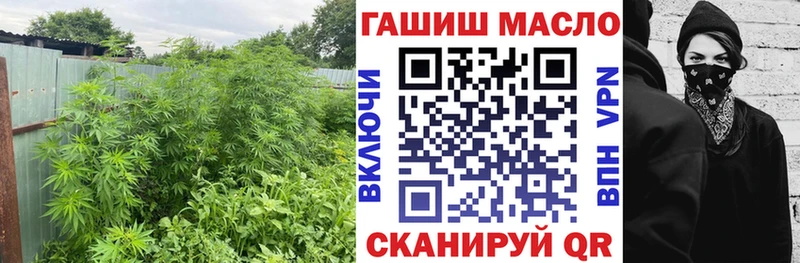 цена наркотик  дарк нет официальный сайт  ТГК THC oil  Торопец 