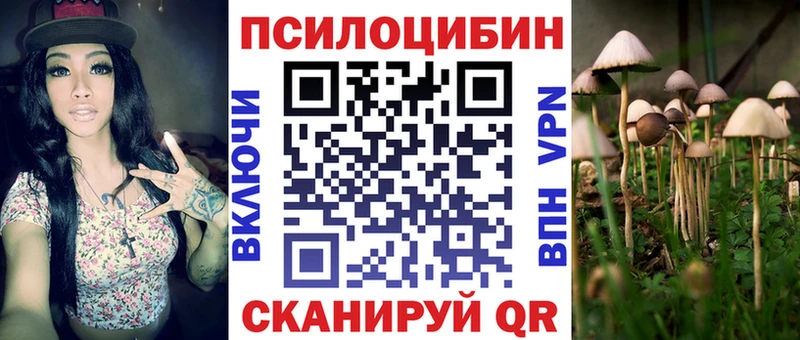 Галлюциногенные грибы прущие грибы  Торопец 